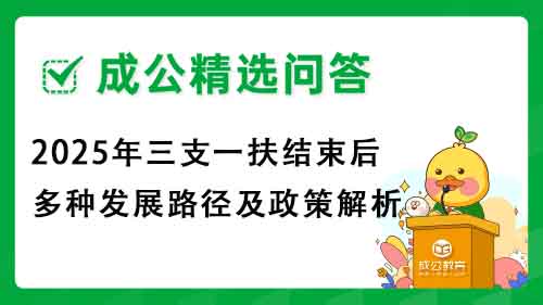 2025年三支一扶结束后多种发展路径及政策解析