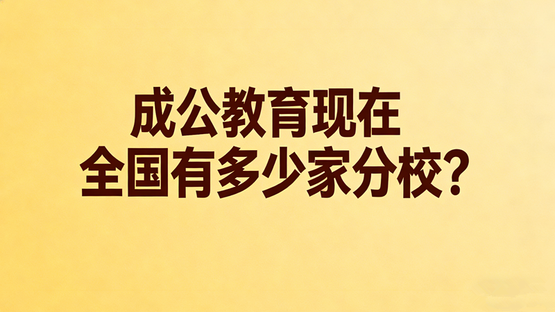 成公教育现在全国有多少家分校?