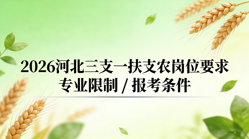 2026河北三支一扶支农岗位要求 专业限制+报考条件全解读